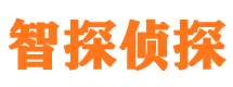 安岳市侦探调查公司